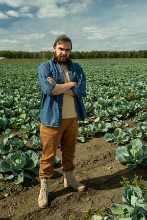 Full length portrait of frowning Caucasian agroengineer in hat standing with crossed arms on cabbage...