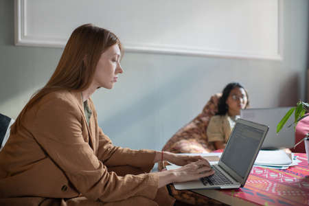 Young businesswoman networking in front of laptop in office against female co-workerの写真素材