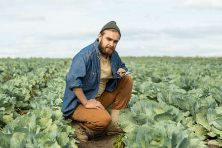 Young confident farmer with tablet looking at camera while sitting against large fieldの写真素材