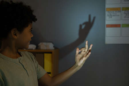 Smiling cute African American boy with curly hair making shadow animal on gray wall against light in...