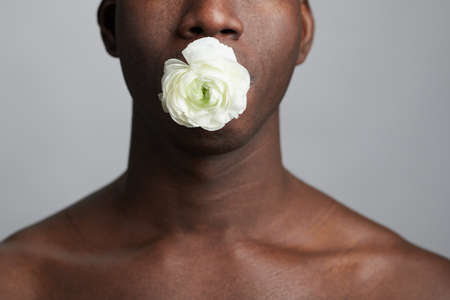 Close-up of African young man holding white flower in his mouth isolated on white backgroundの写真素材