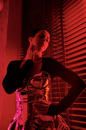 Contemporary teenage girl in posh stage dress posing in front of camera against venetian blinds in...