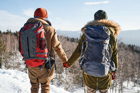 Rear view of young couple standing on mountain top on winter day holding hands enjoying picturesque...