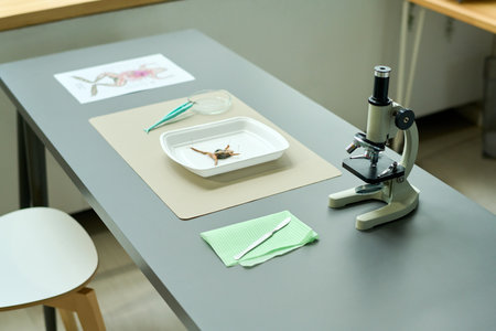 Long grey desk with microscope, scalpel, tweezers, paper with sketch of animal internal structure...