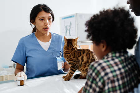 Selective focus of modern Hispanic woman working in vet clinic explaining how to give pills or tablets to catの写真素材