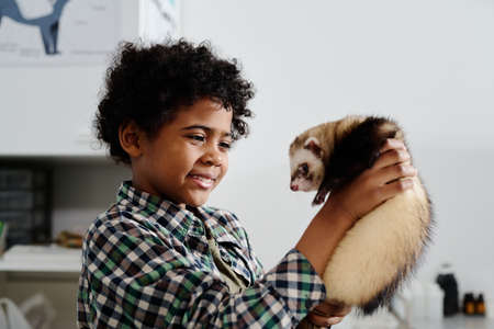 Portrait of joyful African American boy standing in exma room in vet clinic holding his ferret looking at itの写真素材