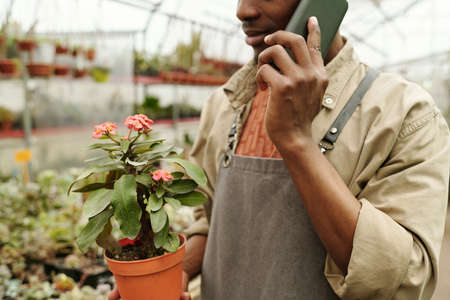 Close-up of worker in uniform carrying flower in pot for customer and talking on mobile phone while working in flower shopの写真素材