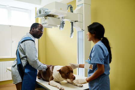 Professional doctor and injured dog owner getting ready to take X-ray picture in modern veterinary...