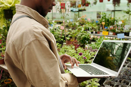 Close-up of flower shop worker using laptop to control growth of plants in greenhouseの写真素材