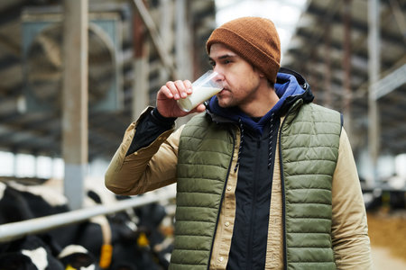 Young worker of modern cowfarm tasting fresh milk in the morning while standing in front of camera against cowshed with purebred cattleの写真素材
