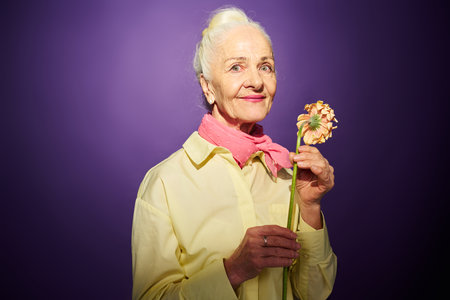 Happy grandmother with fresh herbera standing in front of camera and posing against violet background during photo shooting in studioの写真素材