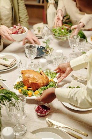 Hands of young black woman putting plate with roasted turkey and fresh green lettuce and yellow cherry tomatoes on dinner tableの写真素材