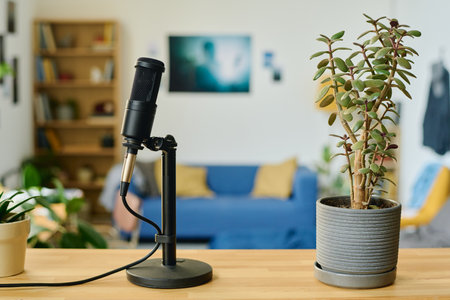 Focus on microphone and flowerpot with green domestic plant standing on wooden table in front of camera against couch and shelvesの写真素材