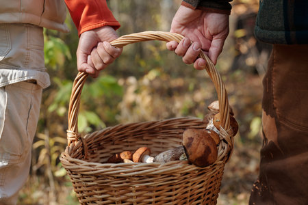 Hands of young couple carrying basket with fresh picked boletus mushrooms while moving along autumn forest at leisureの写真素材