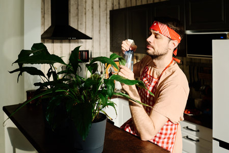 Young man in headband and apron spraying water on leaves of green domestic plant growing in flowerpot standing on kitchen counterの写真素材