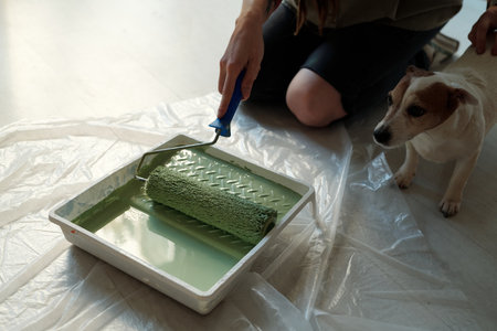 Hand of young unrecognizable woman holding paintroller in tray with green paint while standing on knees next to jack russell terrierの写真素材