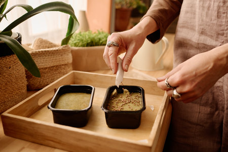 Hands of young woman putting wheat seeds on hydrated sow material in plastic boxes standing in...