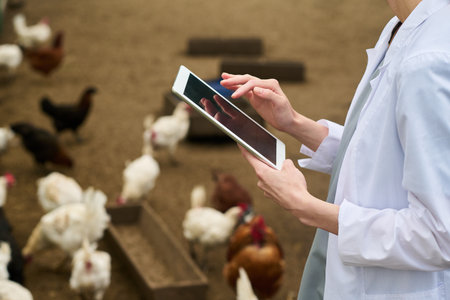 Hands of young unrecognizable female veterinarian with tablet studying nutrition quality information in the internetの写真素材