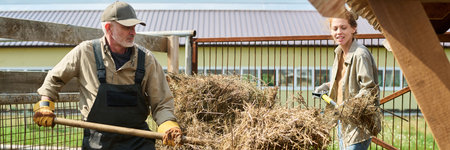 Header of mature male farmer and his daughter heaping fresh hay into wooden feeder with pitchforks...