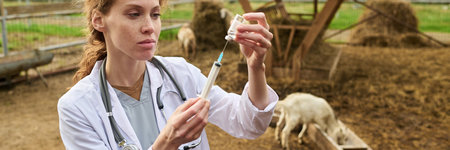 Banner of young female veterinarian standing in goat pen at modern livestock farm and filling syringe with medicineの写真素材
