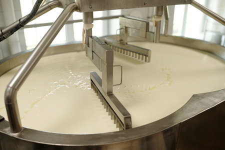 Fermenting cheese in large stainless steel container in a dairy facility, with visible mixer arms...