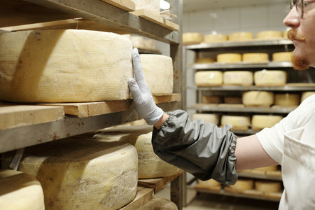 Person wearing protective glove touching cheese wheel on shelf in aging room filled with stacked...