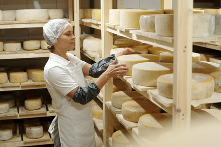 Woman in uniform examining wheels of cheese in aging room with shelves filled with various cheese productsの写真素材