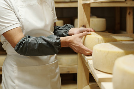 Person wearing protective sleeves handling cheese wheels on wooden shelves in a cellar. Cheese...