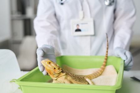 Gloved hand of young veterinary doctor in lab coat standing by desk with animal carrier and touching lizardの写真素材