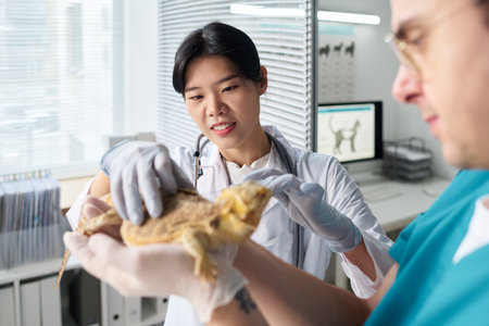 Young male doctor of veterinary clinic holding exotic pet in hands, Asian female colleague palpating...
