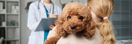 Unrecognizable little girl bringing her fluffy dog to professional vet doctor in modern clinic,...