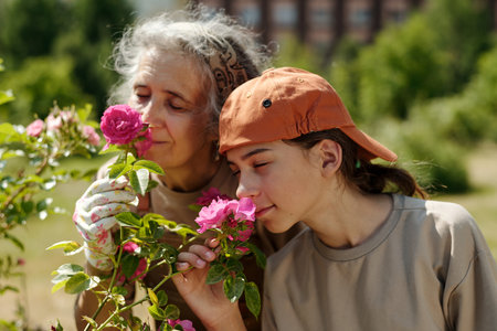 Senior Caucasian woman and teenage Caucasian girl smelling pink roses outdoors, standing close together in garden, both enjoying fragrance of flowers, greenery in backgroundの写真素材