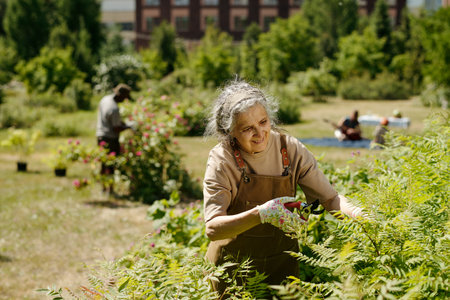 Senior Caucasian woman gardening outdoors, trimming green bushes with pruning shears, smiling while...