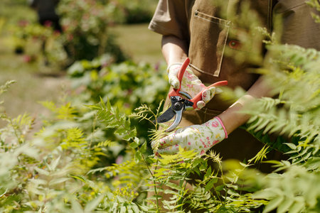 Caucasian young adult woman pruning green shrub with garden shears outdoors, wearing floral gloves and brown apron, focusing on precise trimming of plant branches in garden settingの写真素材