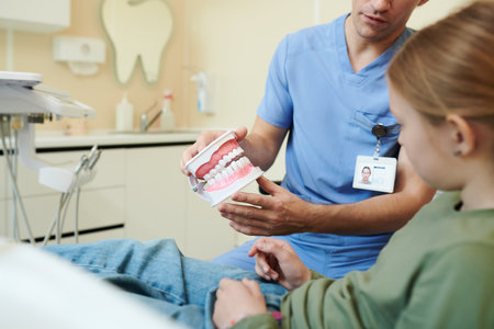 Caucasian male dentist demonstrating dental model to Caucasian teenage girl patient during consultation in dental clinic, dentist wearing scrubs and identification badge, girl sitting in dental chairの写真素材