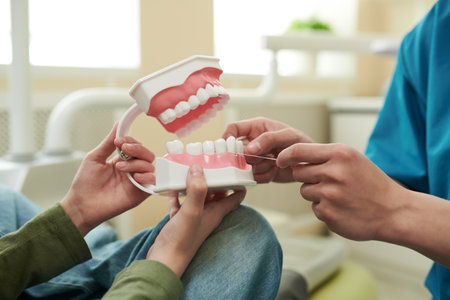 Caucasian young adult woman holding dental model while Caucasian young adult man demonstrating...
