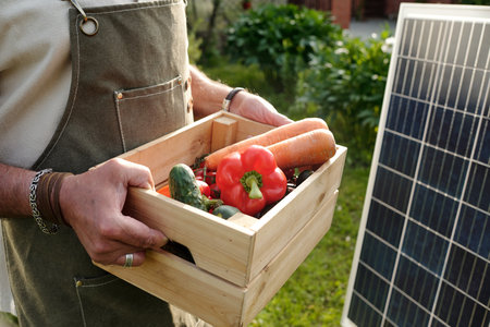 Middle aged Caucasian man holding wooden crate filled with fresh vegetables including red bell pepper, carrots, cucumbers, standing outdoors near solar panel in gardenの写真素材