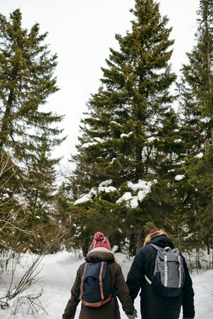 Back view of woman and man in outwear and with backpacks holding hands and walking in winter woodsの写真素材
