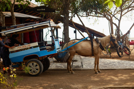 Bali, Indonesia, November 18, 2015. Horse standing harnessed to blue carriage near tropical beachside path, carriage labeled with text, bicycles parked in backgroundのeditorial素材