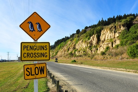 Penguins crossing road sign near Blue Penguin Colony in Oamaru, New Zealandの写真素材