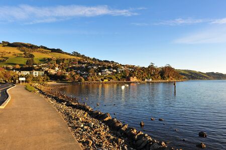 Peaceful coastline along Otago Peninsula lake in New Zealandの写真素材