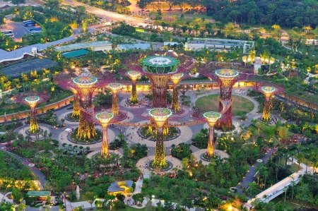 Aerial view of cluster of super trees at the newly opened Gardens by the Bay tourist attraction on 4 Aug 2012 in Singaporeのeditorial素材