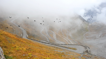 Famous Stelvio pass with 48 hairpin turns in Italyの写真素材