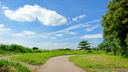 Meadow on Lazarus Island, Singaporeの写真素材