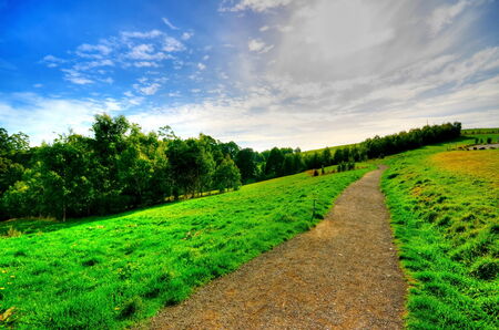 High dynamic range photo of grass field and blue skyの写真素材