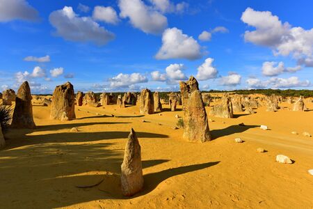 The Pinnacles Dessert famous for its limestone rock formations, in Nambung National Park