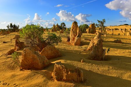 The Pinnacles Dessert famous for its limestone rock formations, in Nambung National Parkの写真素材