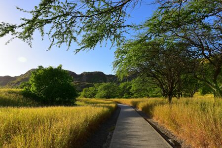 Trail leading to the summit of Diamond Head volcano, Oahu, Hawaii