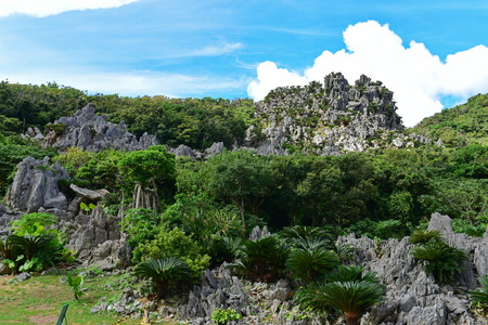 Large limestone rock formations in Daisekirinzan park in Okinawa, Japan.の写真素材