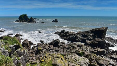 Scenic Seal Colony Tauranga Bay in West Coast, New Zealandの写真素材